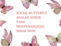 Social Butterfly Adalah Sosok yang Menyenangkan, Simak Now