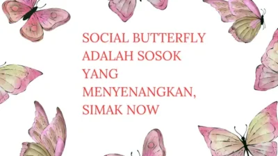 Social-Butterfly